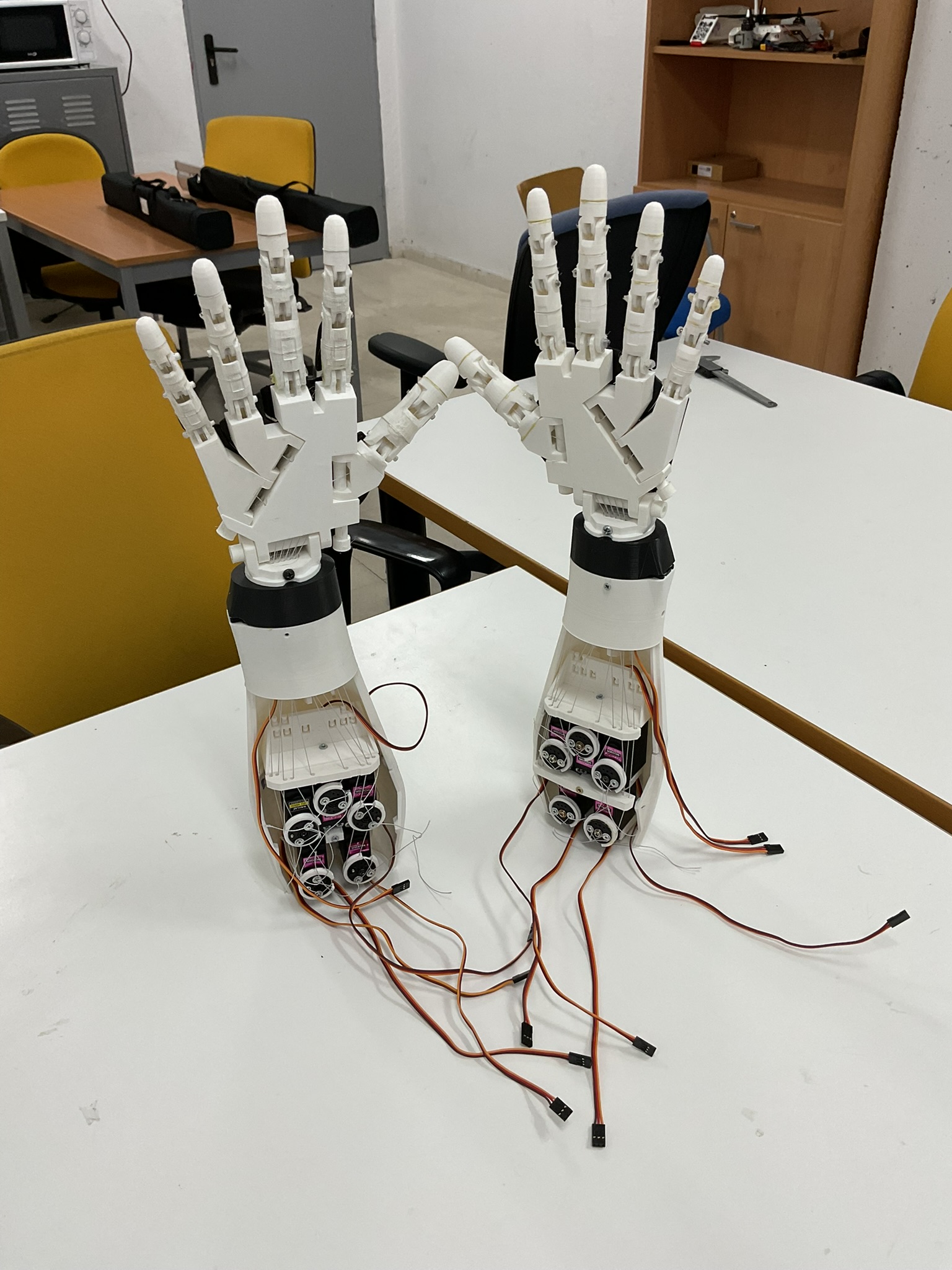Pruebas del Proyecto Zeus